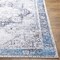 Livabliss Amelie AML-2359 Machine Washable Area Rug AML2359-2716 - alternate 4